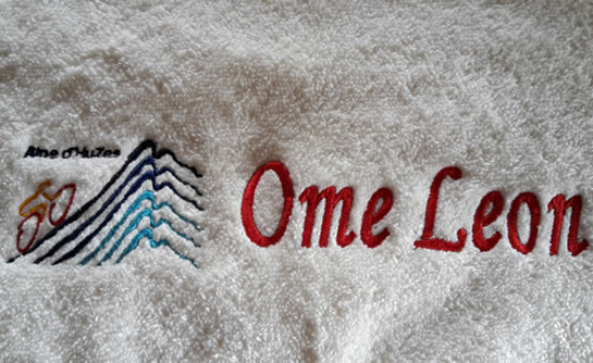 logo-ome-leon.jpg